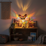 Living the Chihuahua Life