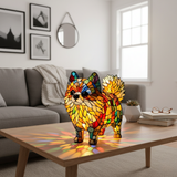 Radiant Pomeranian