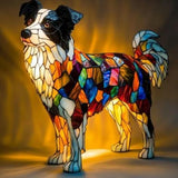 Collie with Distinctive Border Traits
